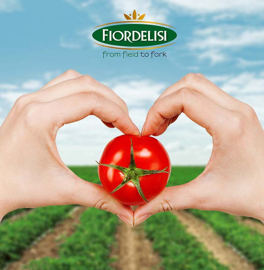 Imported Italian Tomatoes Imported Italian Tomatoes